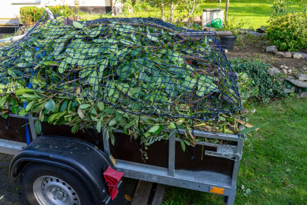 Best Carpet Removal and Disposal  in Westchase, FL